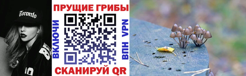 Галлюциногенные грибы ЛСД  Пугачёв 